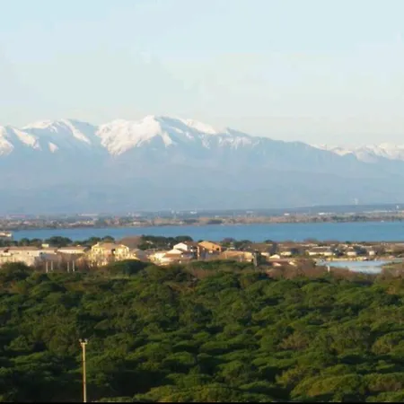 117, Le Barcares, Vue Et Canigou * Le Barcarès